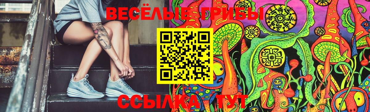 Мичуринск  Галлюциногенные грибы Cubensis  Галлюциногенные грибы прущие грибы  Вход с VPN 
