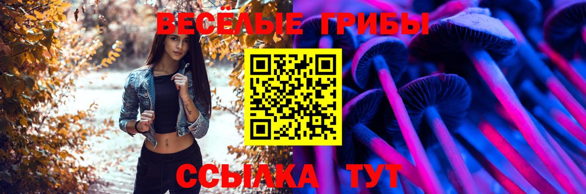 Псилоцибиновые грибы Cubensis Мичуринск